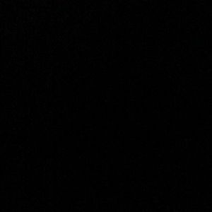 Meet your Posher, Mia